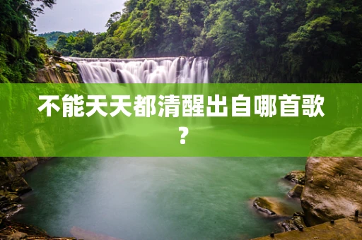 不能天天都清醒出自哪首歌？