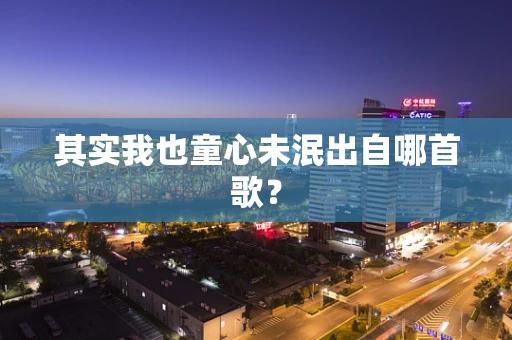 其实我也童心未泯出自哪首歌？