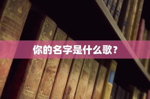 你的名字是什么歌？