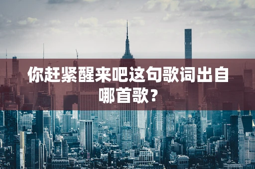你赶紧醒来吧这句歌词出自哪首歌？