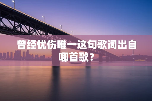 曾经忧伤唯一这句歌词出自哪首歌？