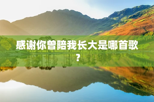 感谢你曾陪我长大是哪首歌？