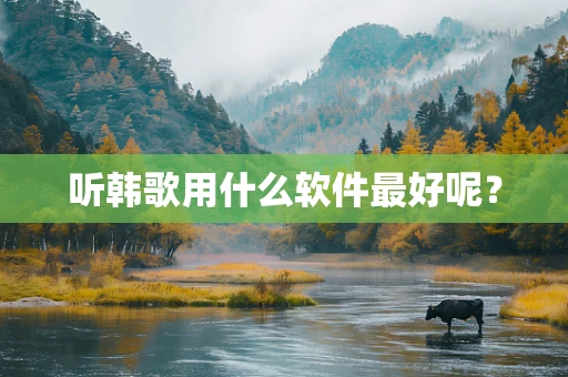 听韩歌用什么软件最好呢？