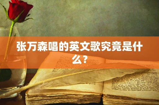 张万森唱的英文歌究竟是什么？