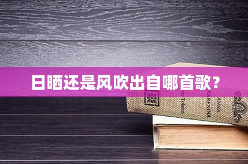 日晒还是风吹出自哪首歌？