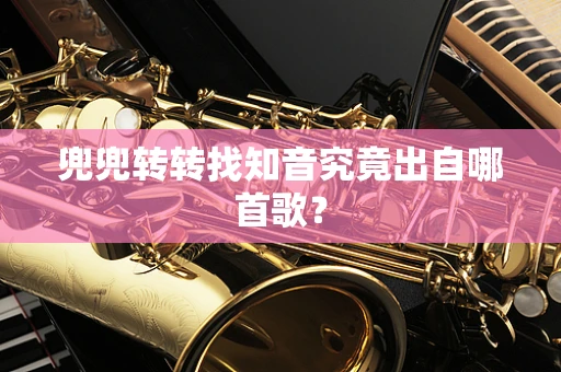 兜兜转转找知音究竟出自哪首歌？