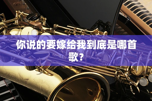 你说的要嫁给我到底是哪首歌？