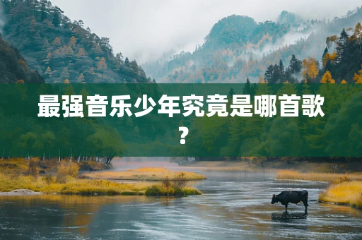 最强音乐少年究竟是哪首歌？