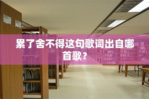 累了舍不得这句歌词出自哪首歌？