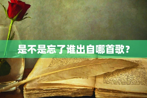 是不是忘了谁出自哪首歌？