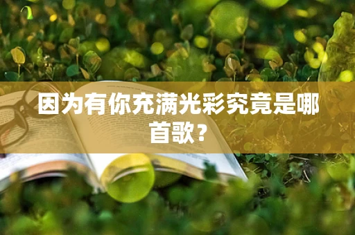 因为有你充满光彩究竟是哪首歌？