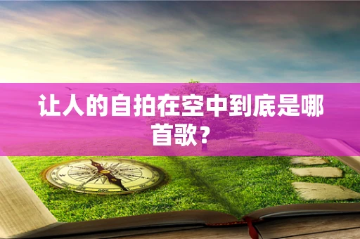让人的自拍在空中到底是哪首歌？