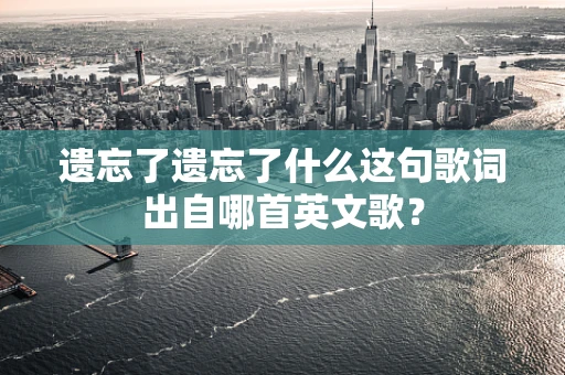遗忘了遗忘了什么这句歌词出自哪首英文歌？