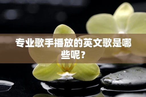 专业歌手播放的英文歌是哪些呢？
