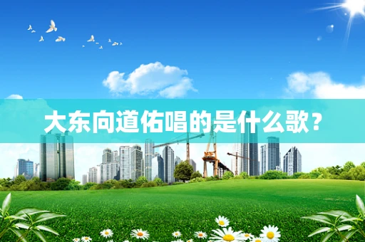 大东向道佑唱的是什么歌？