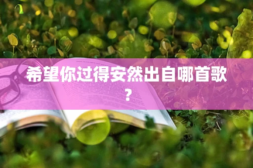 希望你过得安然出自哪首歌？