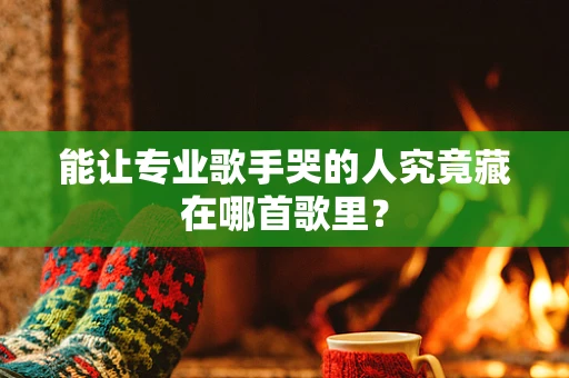 能让专业歌手哭的人究竟藏在哪首歌里？