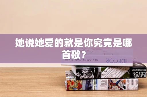 她说她爱的就是你究竟是哪首歌？