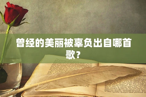 曾经的美丽被辜负出自哪首歌？