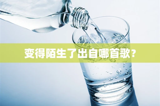变得陌生了出自哪首歌？