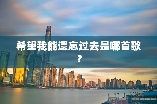 希望我能遗忘过去是哪首歌？