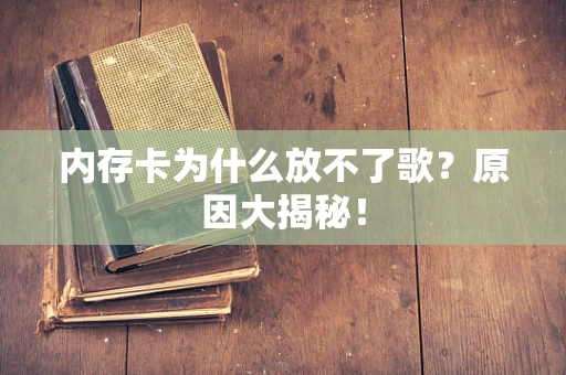 内存卡为什么放不了歌？原因大揭秘！