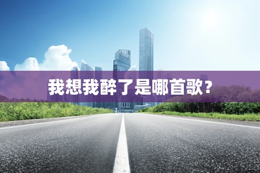 我想我醉了是哪首歌？