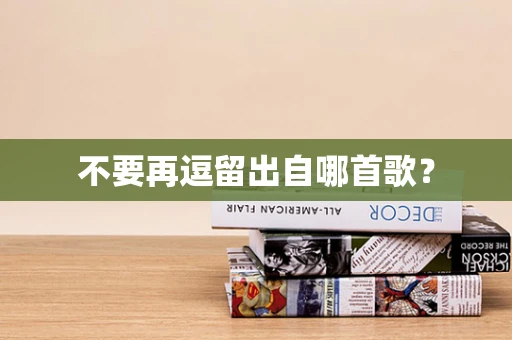 不要再逗留出自哪首歌？