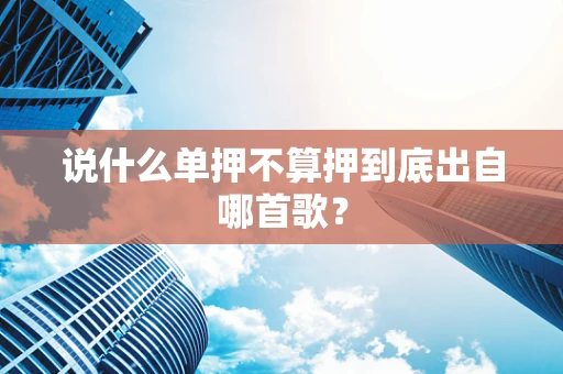 说什么单押不算押到底出自哪首歌？