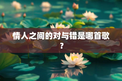 情人之间的对与错是哪首歌？