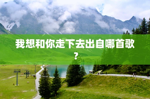 我想和你走下去出自哪首歌？