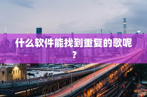 什么软件能找到重复的歌呢？