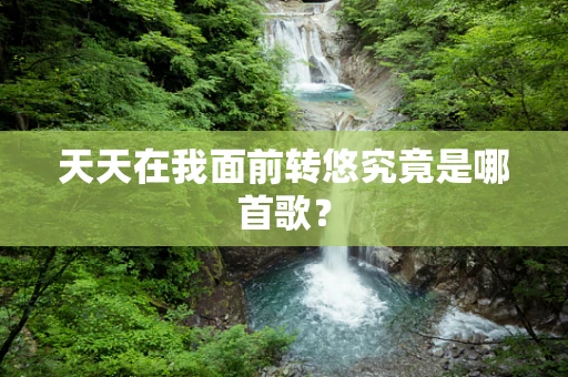 天天在我面前转悠究竟是哪首歌？
