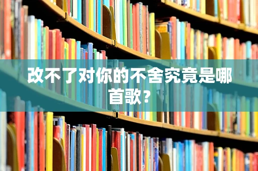 改不了对你的不舍究竟是哪首歌？