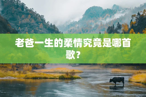 老爸一生的柔情究竟是哪首歌？