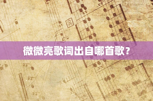 微微亮歌词出自哪首歌？