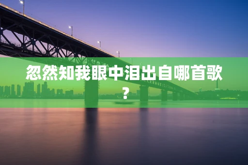 忽然知我眼中泪出自哪首歌？