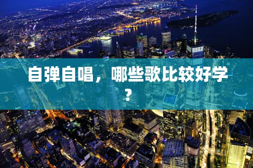 自弹自唱，哪些歌比较好学？