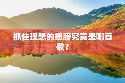 抓住理想的翅膀究竟是哪首歌？