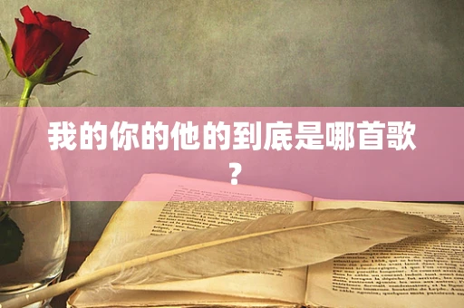 我的你的他的到底是哪首歌？