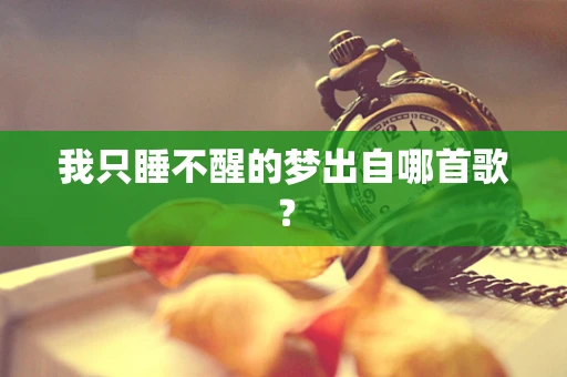 我只睡不醒的梦出自哪首歌？