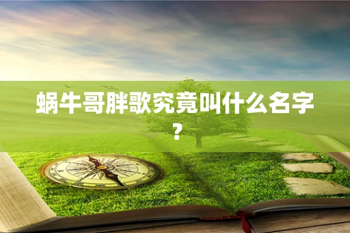 蜗牛哥胖歌究竟叫什么名字？