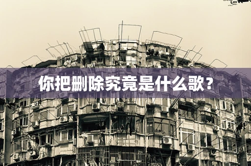 你把删除究竟是什么歌？