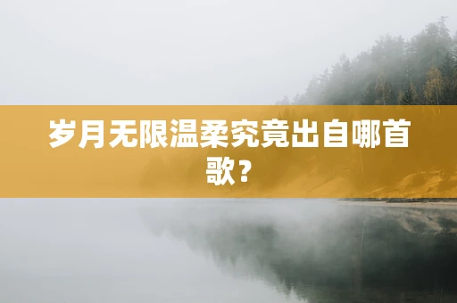 岁月无限温柔究竟出自哪首歌？