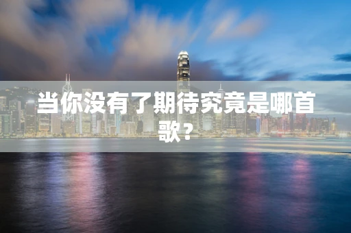 当你没有了期待究竟是哪首歌？