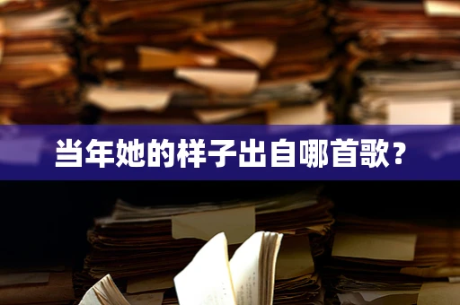 当年她的样子出自哪首歌？