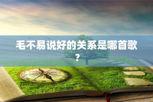 毛不易说好的关系是哪首歌？