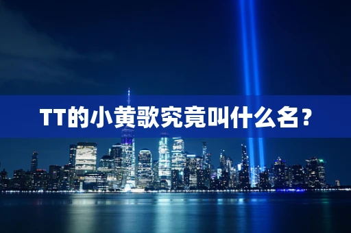 TT的小黄歌究竟叫什么名？