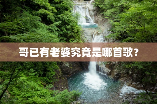哥已有老婆究竟是哪首歌？