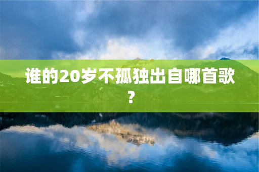谁的20岁不孤独出自哪首歌？